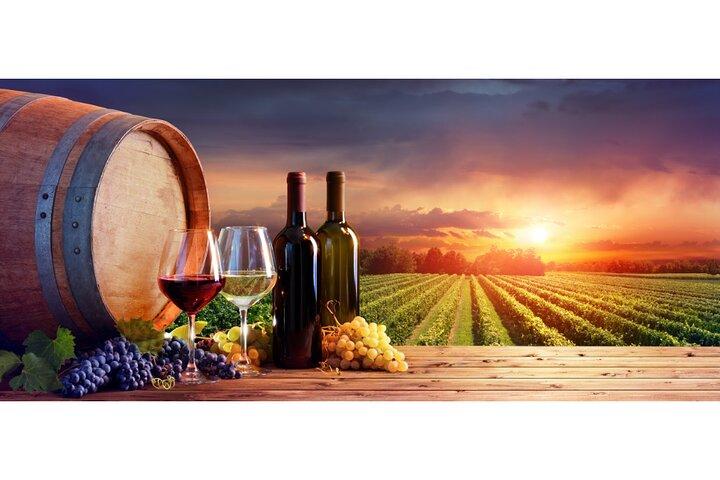 Chianti-wijntour van Florence naar San Gimignano met 2 wijnhuizen