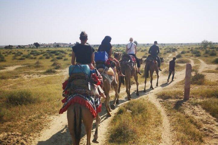 Rundgang durch das historische Erbe von Jaisalmer mit professionellem Reiseleiter