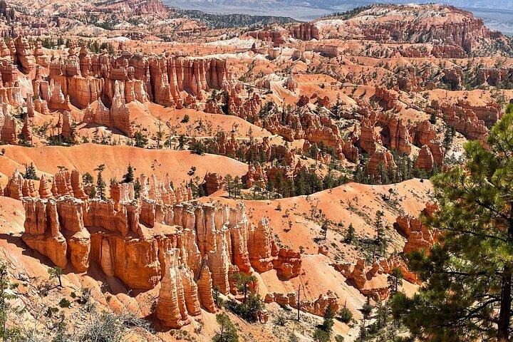 Tour naar Zion National Park vanuit Las Vegas