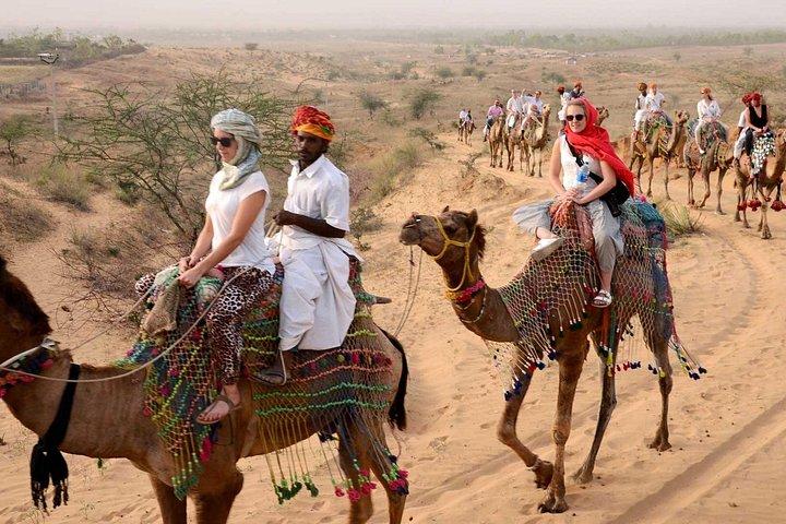 ジャイプール発プシュカルへのプライベート日帰り旅行