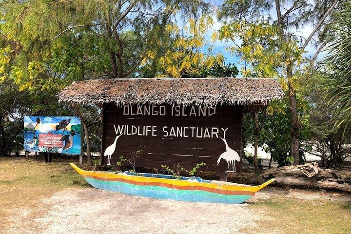 Olango Island Bird Watching e Snorkeling Day Trip de Cebu