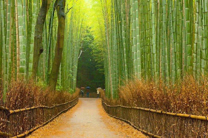 友禅染ワークショップで嵐山の見どころ