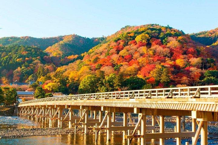 友禅染ワークショップで嵐山の見どころ