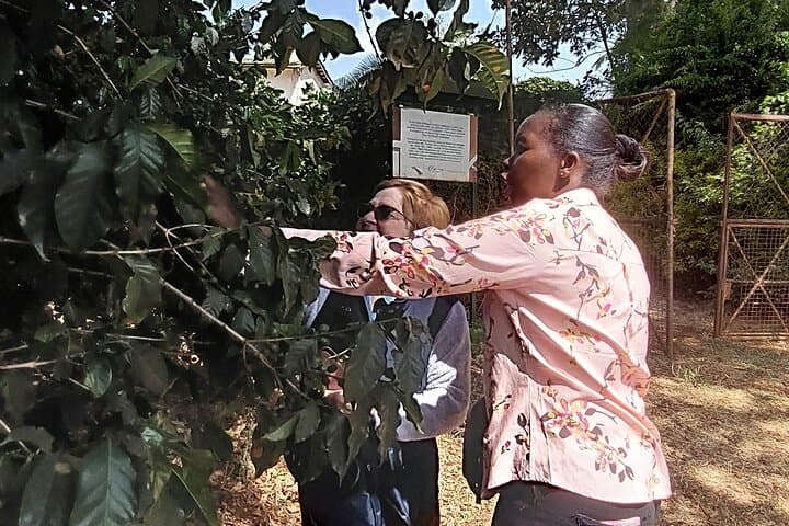 Coffee Farm tour from Nairobi