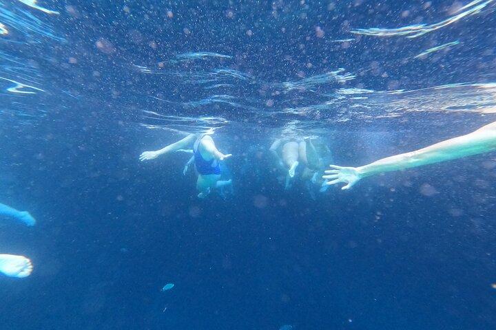 Private Blue Cave und Elaphiti Inseln Halbtagestour
