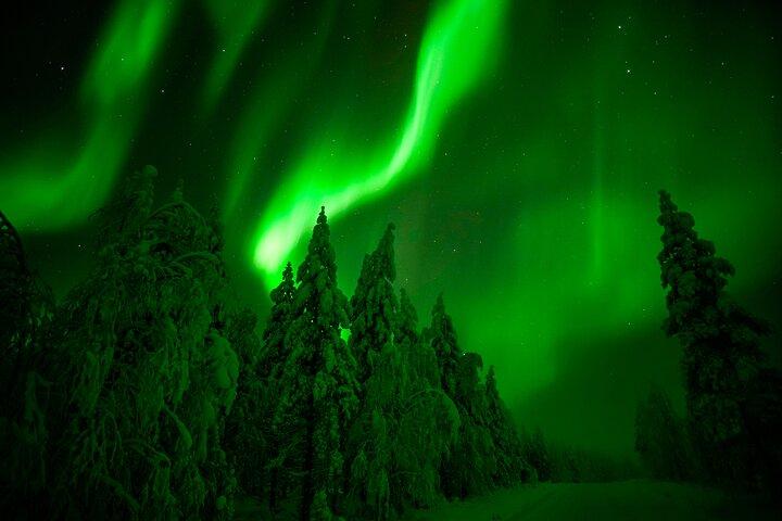 Nordlichter-Schneemobiltour