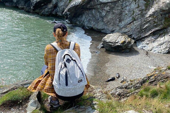 ダブリンからウィックローへの日帰りツアー:崖、遺産、野生動物、刑務所