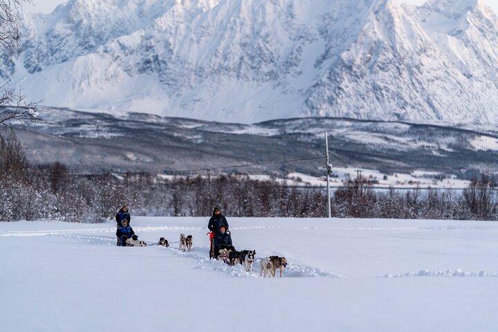 Husky erfarenhet och hundspannskörning