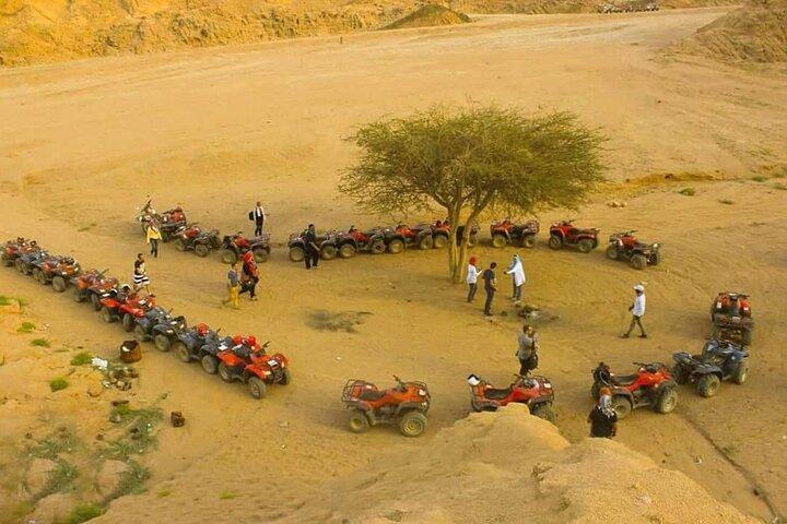 Safari in quad a Sharm El-Sheikh