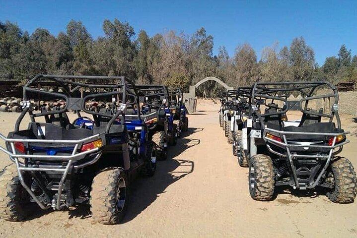 ATV Quad or Buggy Safari Trip in Sinai Desert of Sharm El Sheikh