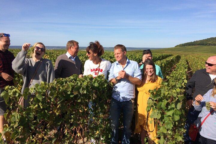 Discover Champagne in half a day in a Van