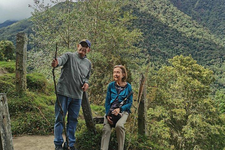 Half-Day Cocora Serenity Adventures