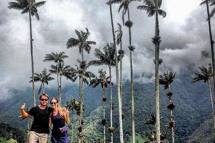 Half-Day Cocora Serenity Adventures