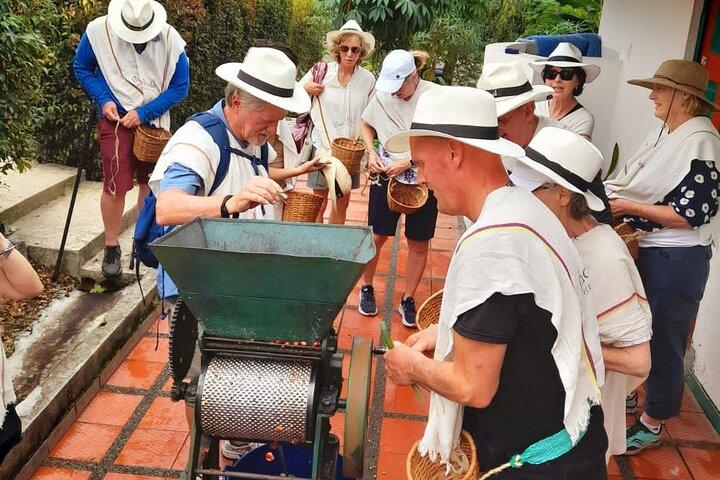 Visite de la ferme de café et des sources chaudes de Santa Rosa au départ de Pereira ou d'Arménie