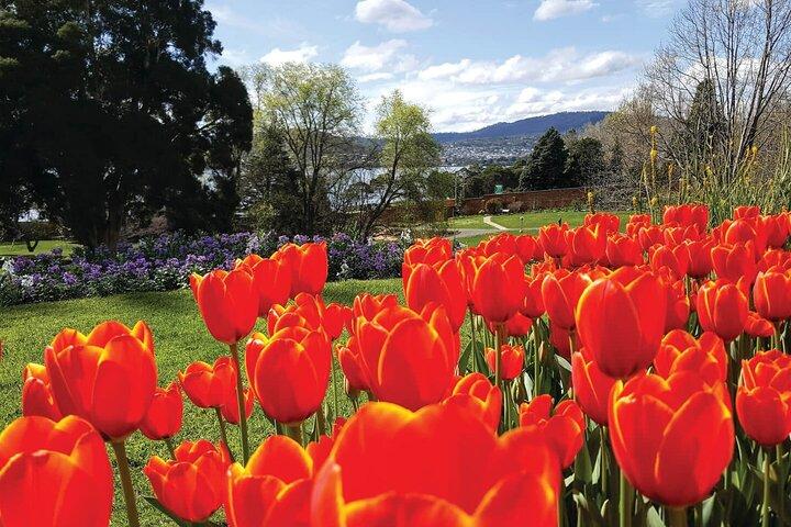 Hobart halvdags sightseeing byrundtur