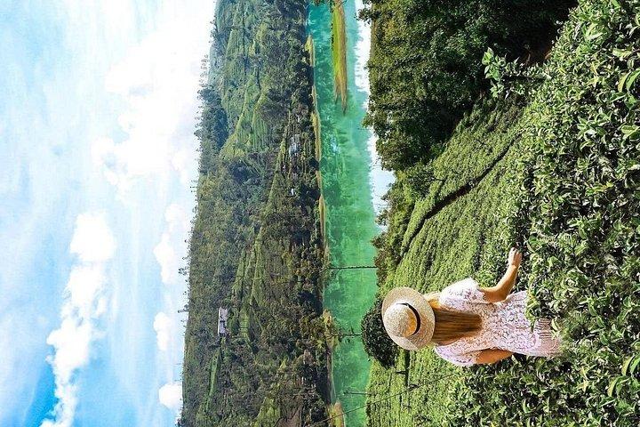 Wonderful Srilankan 14 Days Tours