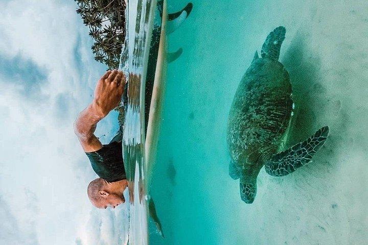 Wonderful Srilankan 14 Days Tours