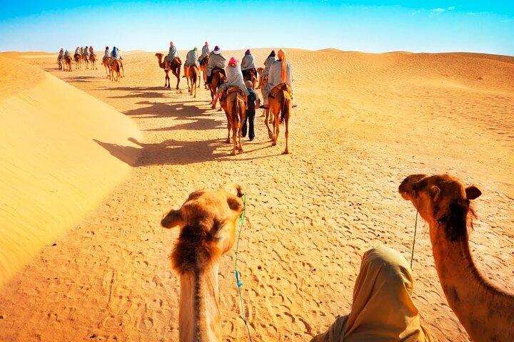 Entdecken Sie den Nervenkitzel des Wüstenreitens ab Doha