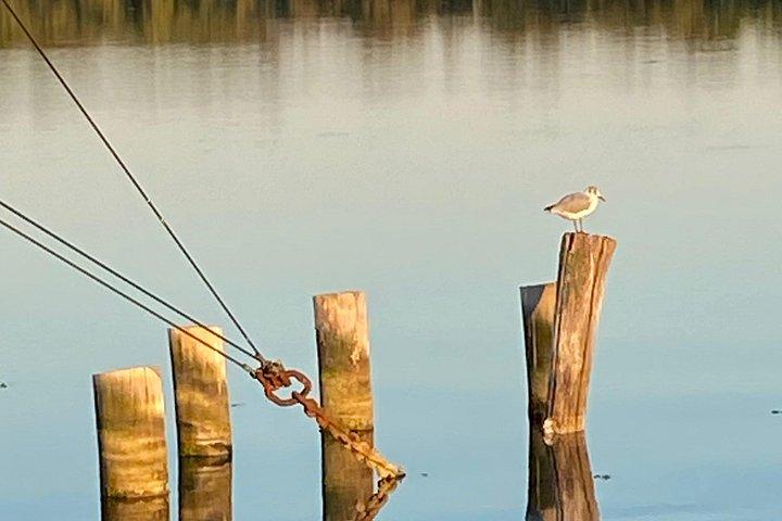 Private Bootstour nach Murano und Burano ab Venedig