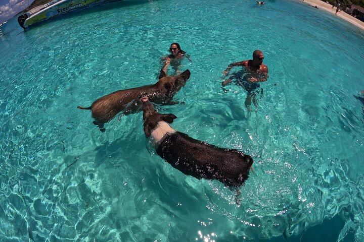 Exuma Island Hopping Schwimmschweine Tour mit Mittagessen ab Nassau