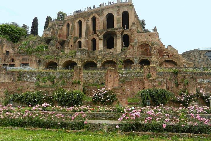 Arena dos Gladiadores do Coliseu e Roma Antiga
