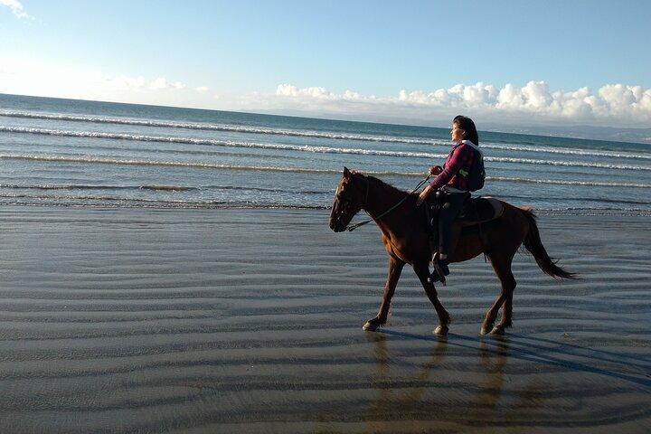 Privater Ausflug, Reiten am Strand und La Bufadora