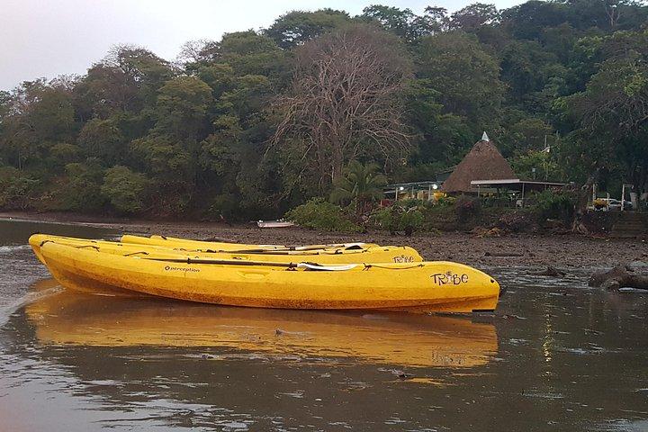 Bioluminescence Experience in Paquera with Dinner Included