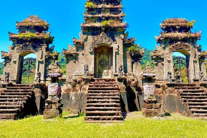 Giungla di Bali con esperienze a cascata