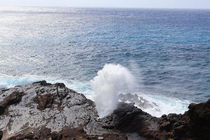 オアフ島の絶景：7つの展望台を巡る半日観光ツアー