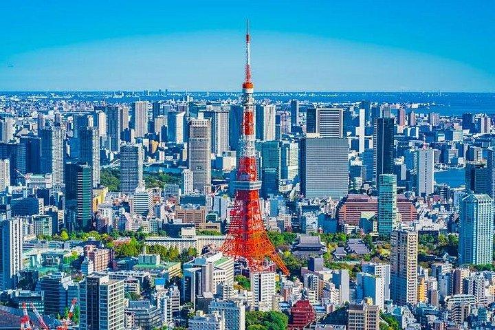 7時間の東京プライベートツアー