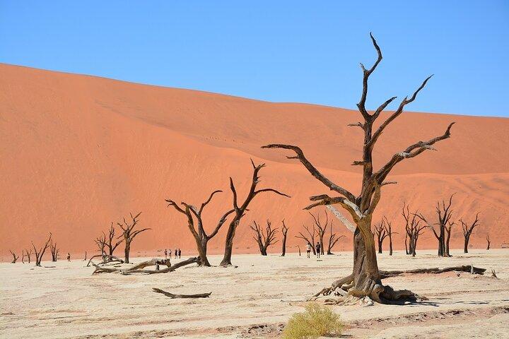 Tour guidato di 2 giorni a Sossusvlei e Sandwich Harbour