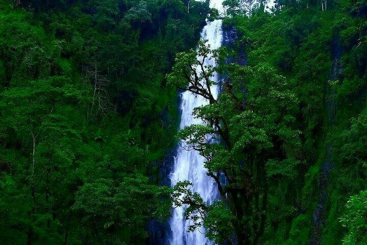 Cascada Materuni - tour del café O tour de las aguas termales de Chemka