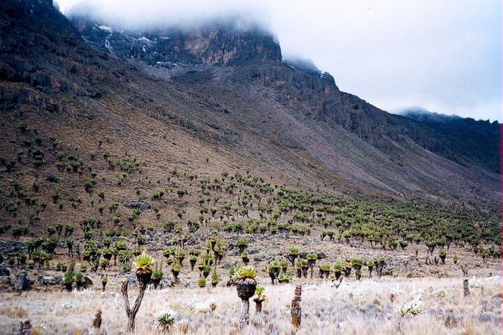 Heldagstur i Mount Kenya från Nairobi