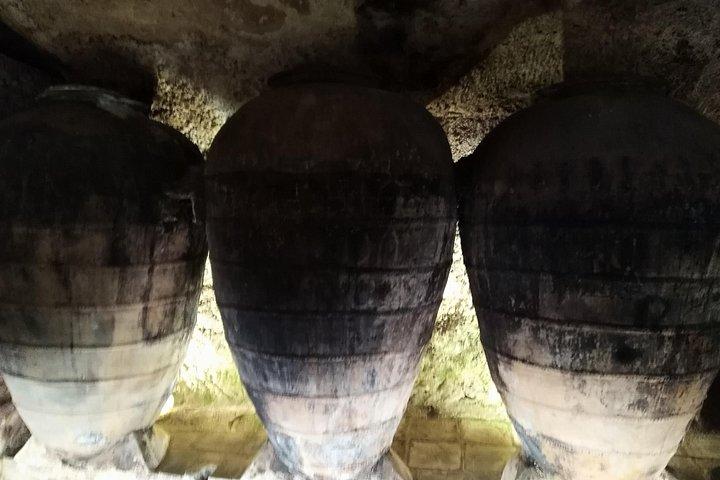 Full Day Private Requena Wineries Premium Tastings
