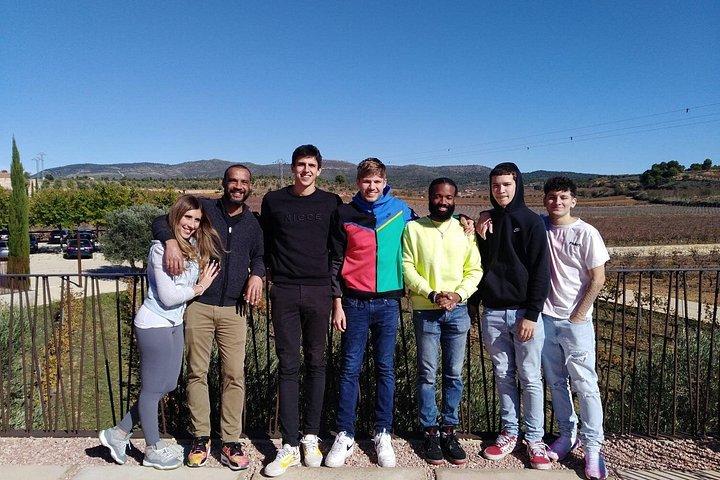 Full Day Private Requena Wineries Premium Tastings
