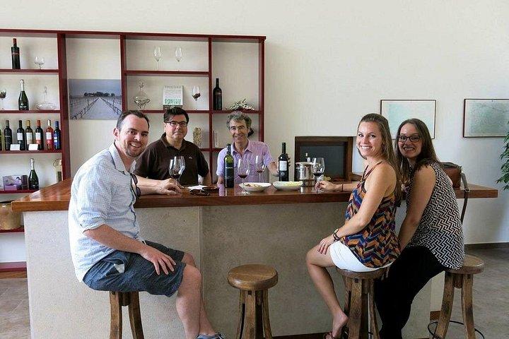 Full Day Private Requena Wineries Premium Tastings