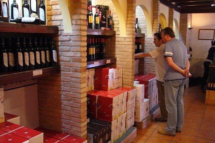 Full Day Private Requena Wineries Premium Tastings