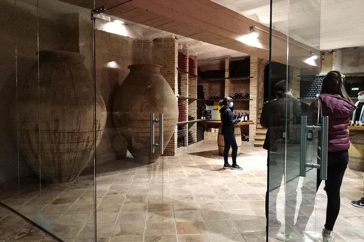 Full Day Private Requena Wineries Premium Tastings