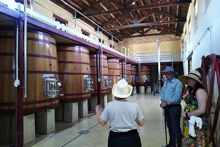 Full Day Private Requena Wineries Premium Tastings