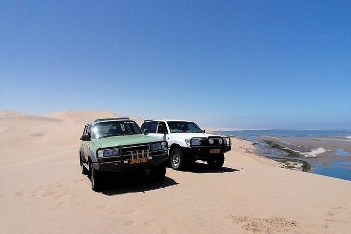 Spændende Sandwich Harbour 4x4 guidet selvkørselserfaring
