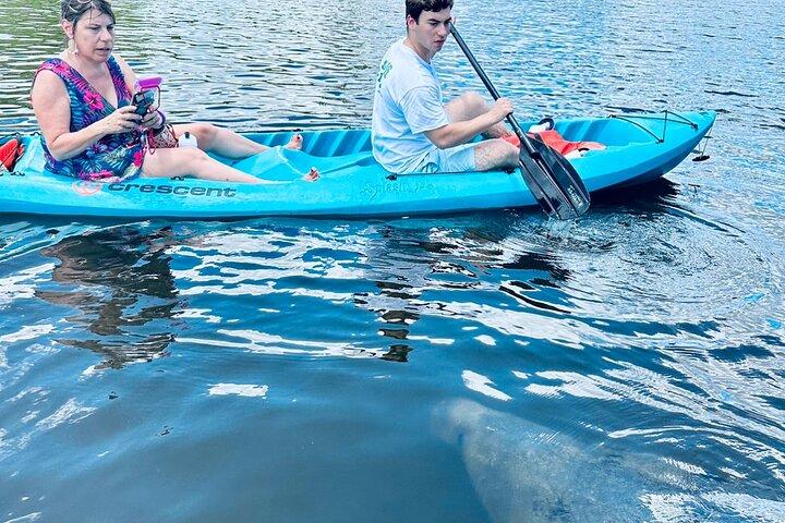 Kajak- und SUP-Abenteuertour mit Delfinen und Seekühen ab Cocoa Beach