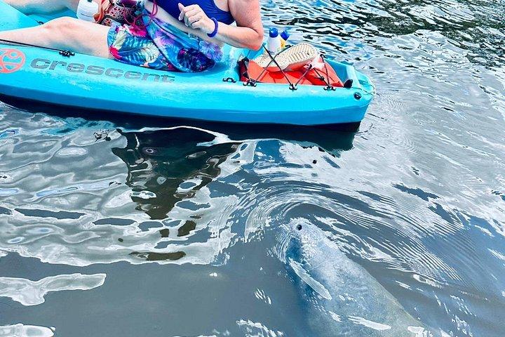 ココアビーチのイルカとマナティーのカヤックとSUPアドベンチャーツアー