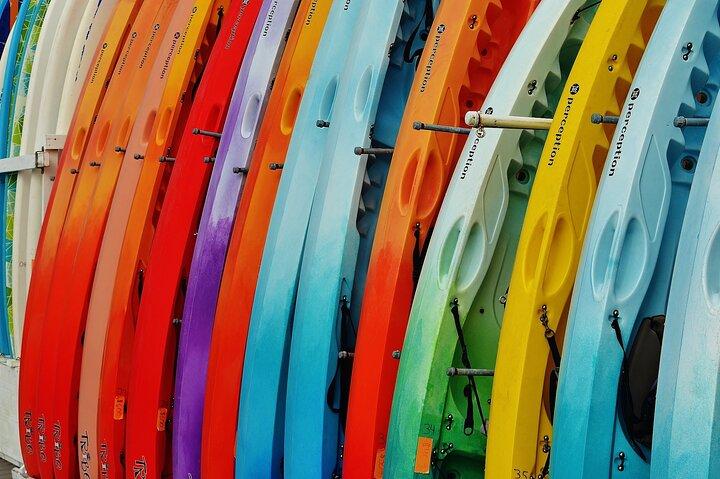 Playa de Tel Aviv: alquiler de tablas de remo