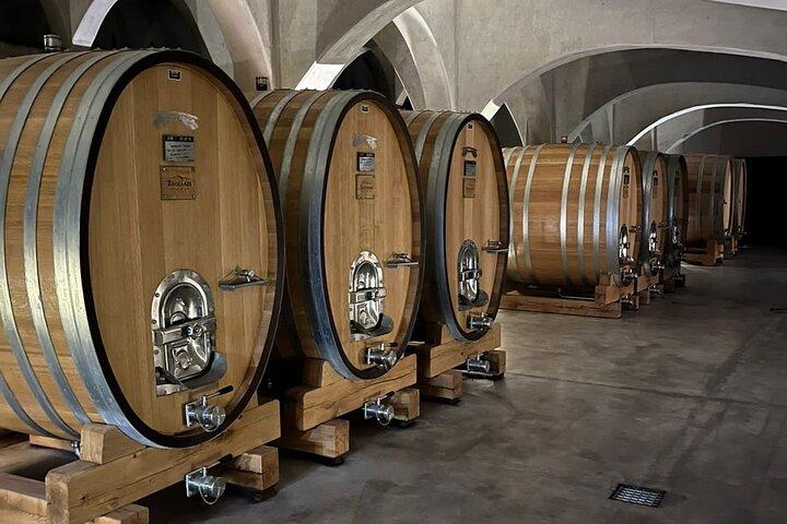 Private Weintour in Mendoza mit Gourmet-Mittagessen
