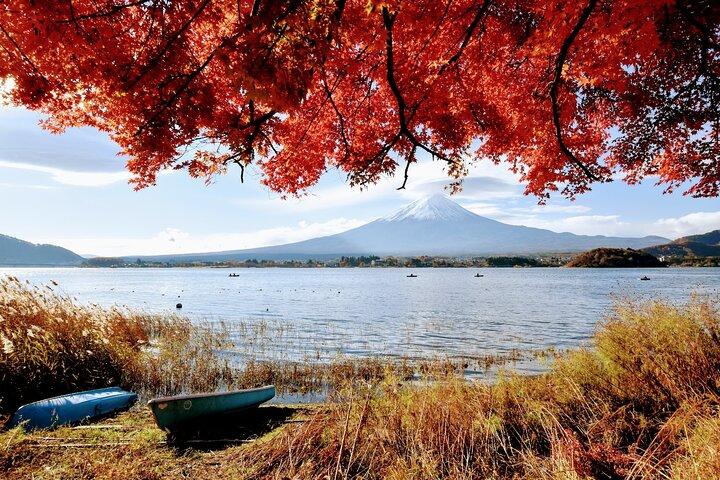 Mt Fuji Day Trip from Tokyo by Car with Photographer Guide