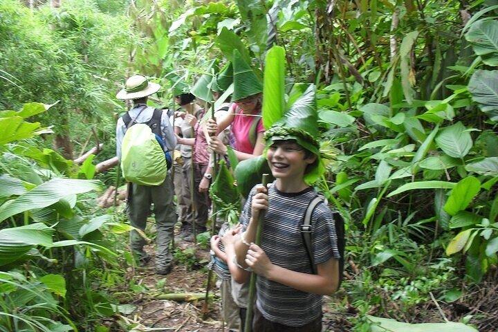 Heldags grupptur i Chiang Rai