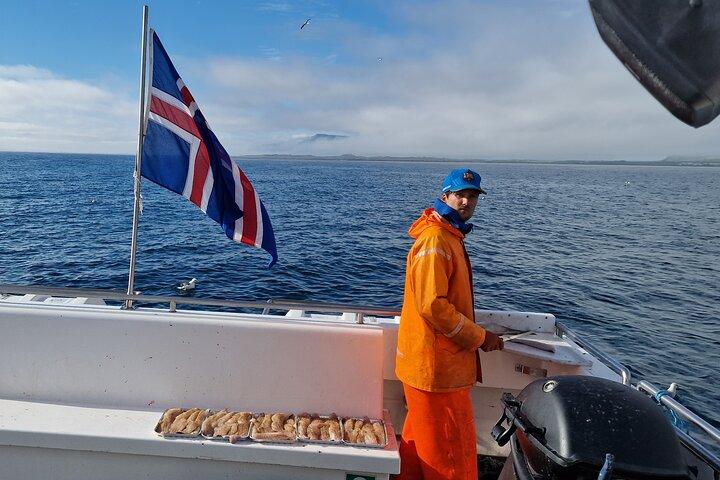 Havfiskerioplevelse fra Reykjavik