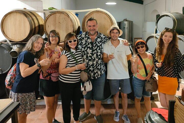 Vanuit Sevilla : Tour van een halve dag wijntoerisme