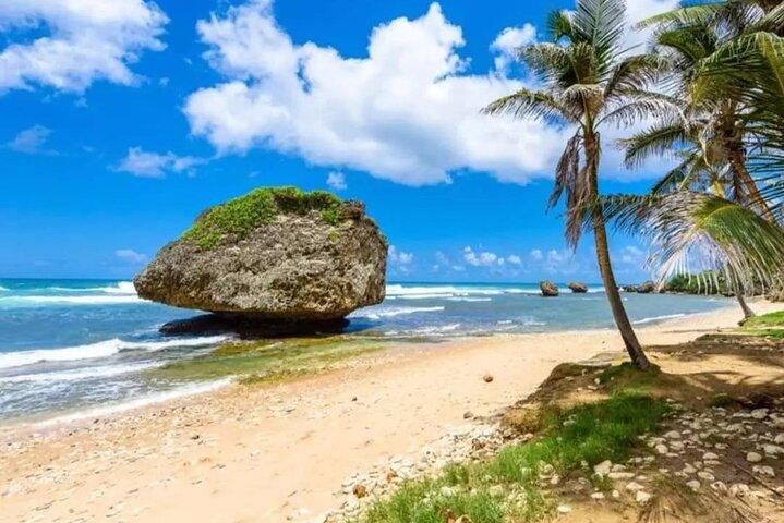 Tour privado guiado por la isla de Barbados