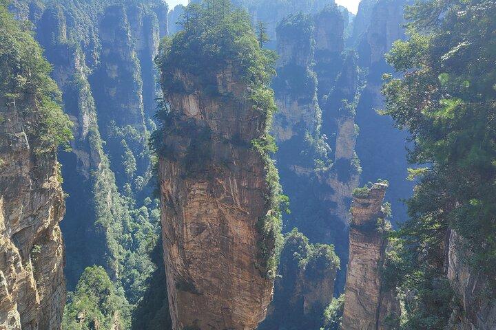 Tour privato di 1 giorno di Zhangjiajie Avatar World Nature Hiking